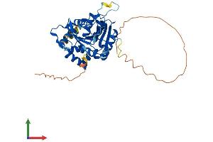 AlphaFold protein structure predicition of Human Recombinant NDRG3 Protein, UniprotID Q9UGV2