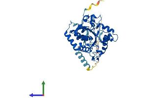 AlphaFold protein structure predicition of Mouse Recombinant St8sia1 Protein, UniprotID Q64687