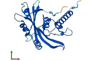 AlphaFold protein structure predicition of Human Recombinant NUDT16L1 Protein, UniprotID Q9BRJ7