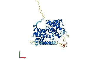 AlphaFold protein structure predicition of Human Recombinant CCND1 Protein, UniprotID P24385
