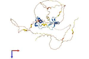 AlphaFold protein structure predicition of Mouse Recombinant Gata4 Protein, UniprotID Q08369