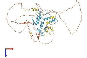 AlphaFold protein structure predicition of Human Recombinant PLAGL2 Protein, UniprotID Q9UPG8