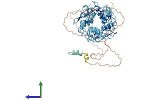 AlphaFold protein structure predicition of Human Recombinant ZNF23 Protein, UniprotID P17027