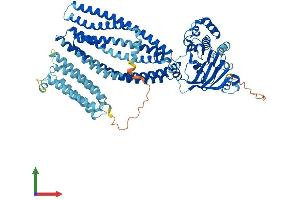 AlphaFold protein structure predicition of Human Recombinant ABCB9 Protein, UniprotID Q9NP78