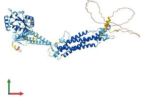 AlphaFold protein structure predicition of Human Recombinant DNM1L Protein, UniprotID O00429