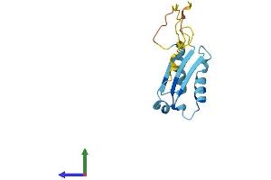 AlphaFold protein structure predicition of Mouse Recombinant Bola1 Protein, UniprotID Q9D8S9