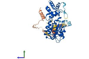 AlphaFold protein structure predicition of Human Recombinant METTL15 Protein, UniprotID A6NJ78