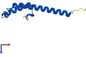 AlphaFold protein structure predicition of Human Recombinant CMC2 Protein, UniprotID Q9NRP2