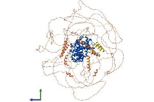 AlphaFold protein structure predicition of Mouse Recombinant Ccnb3 Protein, UniprotID Q810T2