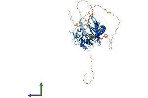 AlphaFold protein structure predicition of Human Recombinant TLK2 Protein, UniprotID Q86UE8