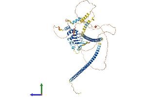 AlphaFold protein structure predicition of Mouse Recombinant Cep72 Protein, UniprotID Q9D3R3