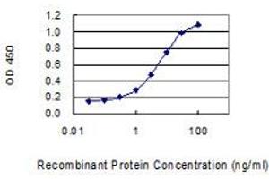 Detection limit for recombinant GST tagged FAM35A is 0. (FAM35A anticorps  (AA 1-835))