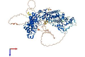 AlphaFold protein structure predicition of Human Recombinant OGA Protein, UniprotID O60502