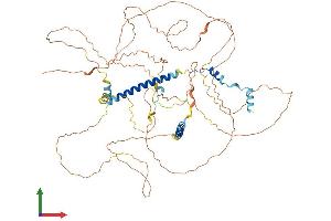AlphaFold protein structure predicition of Human Recombinant C19orf44 Protein, UniprotID Q9H6X5