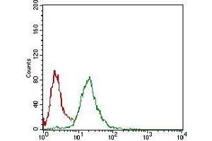 Flow cytometric analysis of Hela cells using NBN mouse mAb (green) and negative control (red).