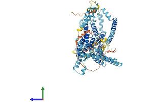AlphaFold protein structure predicition of Human Recombinant TMC8 Protein, UniprotID Q8IU68