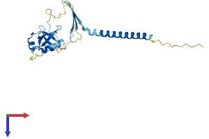 AlphaFold protein structure predicition of Mouse Recombinant Cidea Protein, UniprotID O70302