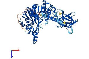 AlphaFold protein structure predicition of Human Recombinant GALNT1 Protein, UniprotID Q10472