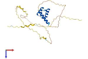 AlphaFold protein structure predicition of Mouse Recombinant Meox1 Protein, UniprotID P32442