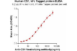 ELISA plate pre-coated by 2 μg/mL (100 μL/well) Human CS1, hFc-His tagged protein (ABIN6961075, ABIN7042179 and ABIN7042180) can bind Anti-CS1 Neutralizing antibody ABIN6964415 and ABIN7272551 in a linear range of 7.