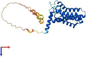 AlphaFold protein structure predicition of Mouse Recombinant Plpp7 Protein, UniprotID Q91WB2