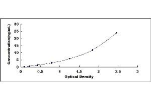 Typical standard curve (HLAG Kit ELISA)