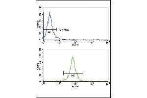 DCN Antibody (Center) (ABIN390518 and ABIN2840871) flow cytometry analysis of HepG2 cells (bottom histogram) compared to a negative control cell (top histogram).