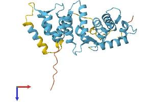 AlphaFold protein structure predicition of Mouse Recombinant Scgn Protein, UniprotID Q91WD9