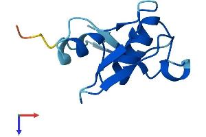 AlphaFold protein structure predicition of Mouse Recombinant Meig1 Protein, UniprotID Q61845