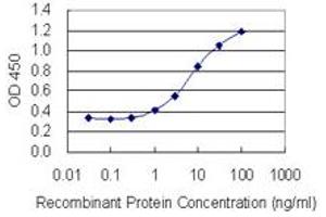 Detection limit for recombinant GST tagged BNIP2 is 0.