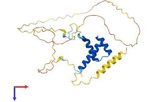 AlphaFold protein structure predicition of Mouse Recombinant Hoxc8 Protein, UniprotID P09025