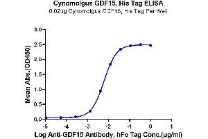 Immobilized Cynomolgus GDF15, His Tag at 0. (GDF15 Protein (AA 193-308) (His tag))