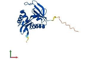 AlphaFold protein structure predicition of Human Recombinant NAA50 Protein, UniprotID Q9GZZ1
