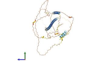 AlphaFold protein structure predicition of Mouse Recombinant Tank Protein, UniprotID P70347