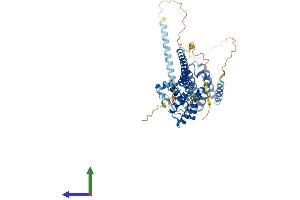 AlphaFold protein structure predicition of Mouse Recombinant Rabgef1 Protein, UniprotID Q9JM13