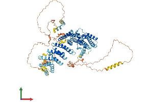 AlphaFold protein structure predicition of Mouse Recombinant Noc2l Protein, UniprotID Q9WV70
