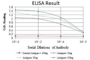 anti-Podocalyxin-Like (PODXL) antibody