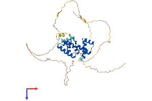 AlphaFold protein structure predicition of Human Recombinant POU3F4 Protein, UniprotID P49335