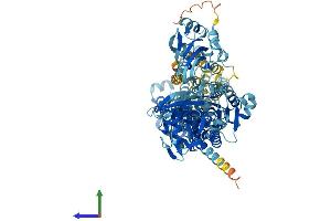 AlphaFold protein structure predicition of Mouse Recombinant Atp2c1 Protein, UniprotID Q80XR2