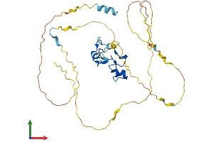 AlphaFold protein structure predicition of Human Recombinant ZFP36 Protein, UniprotID P26651