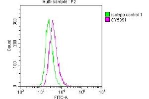 Overlay histogram showing Raji cells stained with ABIN7127559 (red line) at 1:50.