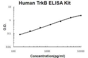 Human TrkB PicoKine ELISA Kit standard curve (TRKB Kit ELISA)