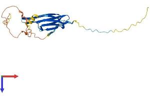 AlphaFold protein structure predicition of Mouse Recombinant Hspb1 Protein, UniprotID P14602