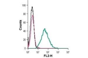 Cell surface detection of P2RX7 in live intact mouse BV-2 microglia cells: (black line) Cells.