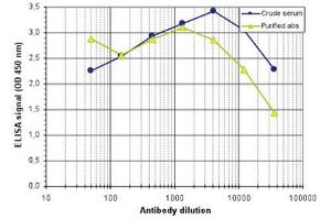 ELISA results of Rabbit anti-MeCP2 antibody ELISA results of Rabbit anti-MeCP2 antibody.