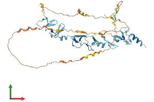 AlphaFold protein structure predicition of Human Recombinant FBLIM1 Protein, UniprotID Q8WUP2