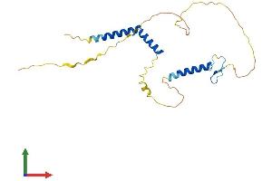 AlphaFold protein structure predicition of Mouse Recombinant Rfxap Protein, UniprotID Q8VCG9