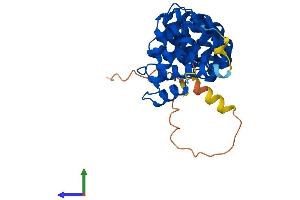 AlphaFold protein structure predicition of Mouse Recombinant Armc10 Protein, UniprotID Q9D0L7