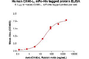 ELISA plate pre-coated by 1 μg/mL (100 μL/well) Human OX40-L Protein, mFc-His Tag (ABIN6961094, ABIN7042217 and ABIN7042218) can bind Anti-OX40-L Rabbit mAb in a linear range of 3.
