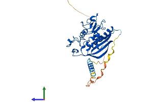AlphaFold protein structure predicition of Mouse Recombinant B4galt7 Protein, UniprotID Q8R087